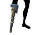 Twilight Hunter Pegleg